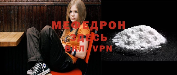 индика Гусев