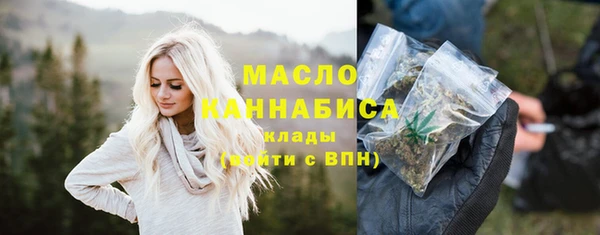 хмурый Гусь-Хрустальный