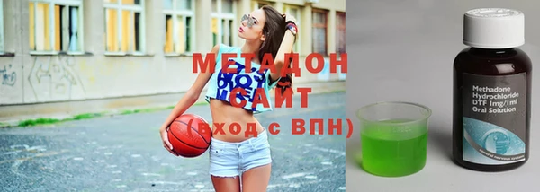индика Гусев