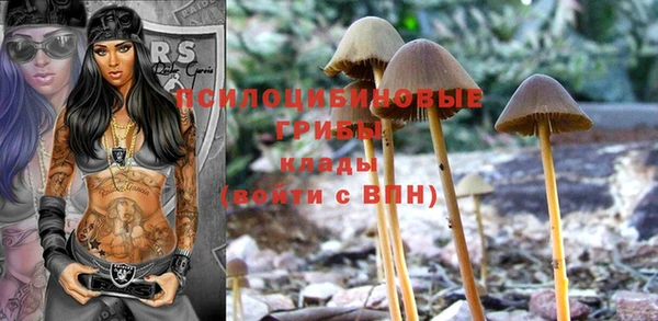 хмурый Гусь-Хрустальный