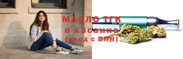 хмурый Гусь-Хрустальный