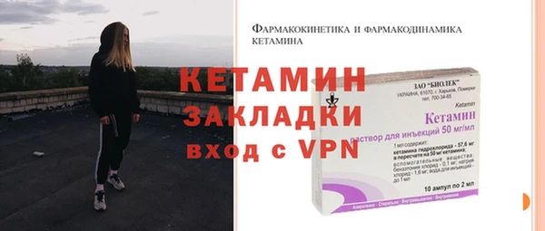 хмурый Гусь-Хрустальный
