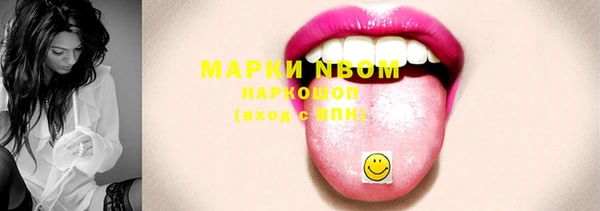 индика Гусев