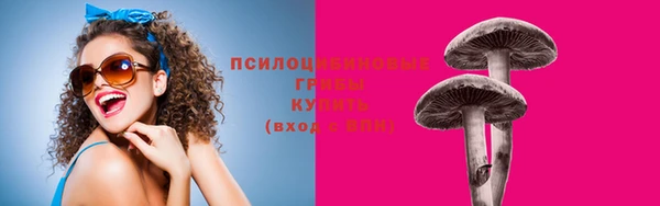 хмурый Гусь-Хрустальный