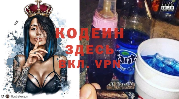 индика Гусев
