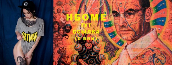 индика Гусев