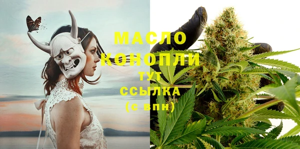 индика Гусев