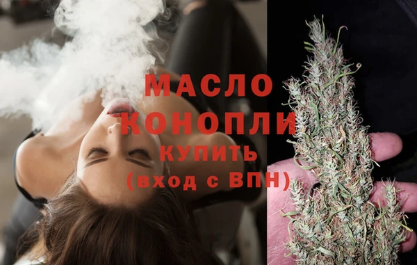 хмурый Гусь-Хрустальный