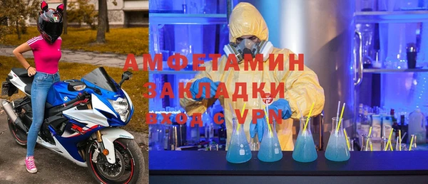 индика Гусев