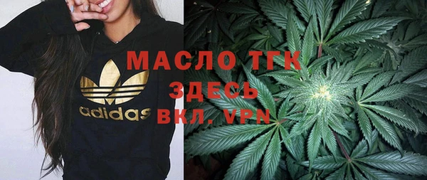 индика Гусев