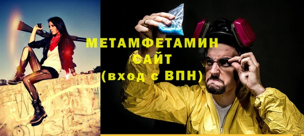 индика Гусев