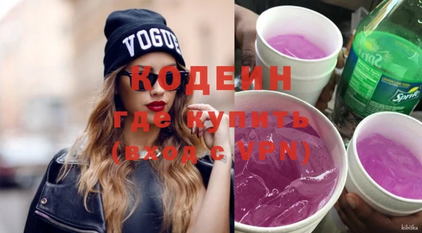 индика Гусев