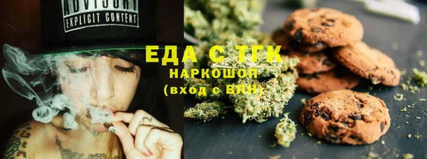 хмурый Гусь-Хрустальный