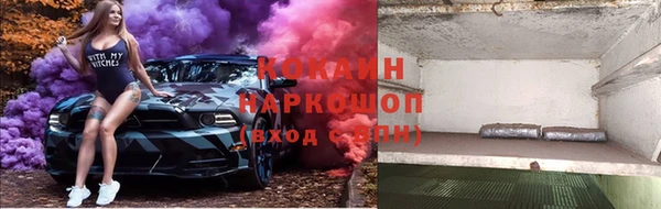 индика Гусев