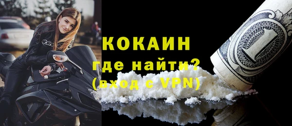 индика Гусев