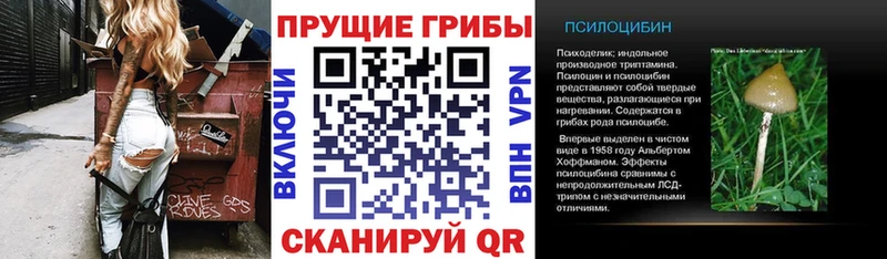 Псилоцибиновые грибы прущие грибы  Купить где  Туран 